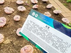 -长春农业博览园