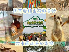 -苏州太湖西山岛开心农场