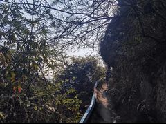 -南山植物园