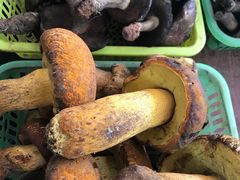 -易门野生菌府·菌海森林(月牙潭公园店)