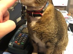 -巴依餐厅(伟安楼店)