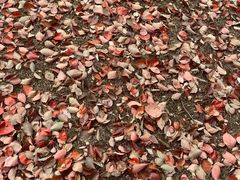 -徐家汇源景区-衡山公园