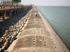 -东疆建设开发纪念公园