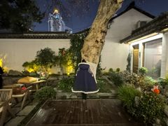 -鲤院·新中式美学·庭院餐厅(夫子庙店)