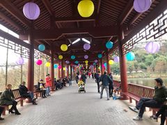 -重庆彩云湖湿地公园