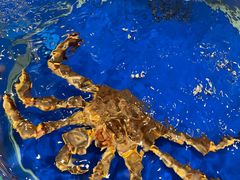 -正德楼果木烤鸭·渔家菜(东港店)