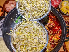 -阳阳老火锅(小南门店)