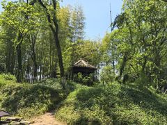 -八大山人梅湖景区