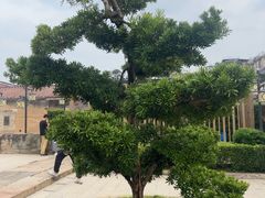 -许驸马府