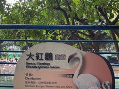 -九龙公园