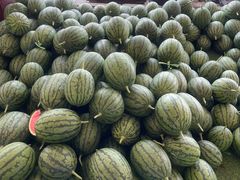 -庞各庄翠芳园西瓜蔬菜基地采摘园