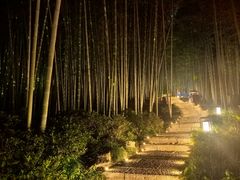 -杭州黄龙洞