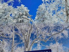 -雪谷