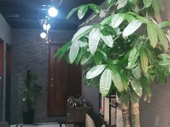 -印象江南(东栅店)