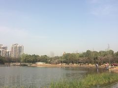 -新江湾城公园