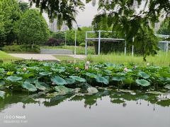 -白塘生态植物园