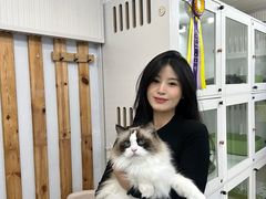 -青奢宠物·青奢猫舍