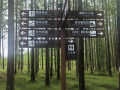 -黄海国家森林公园