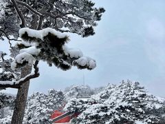 -妙峰山风景名胜区