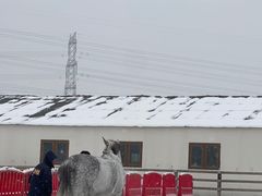 -北京群众马术培训基地