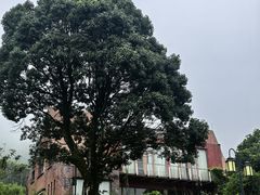 -綦江古剑山