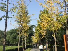 -唐城墙遗址公园