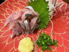 小竹荚鱼刺身-加奈日本料理
