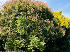 -艾溪湖湿地公园