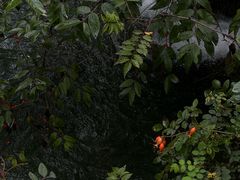 -九寨沟风景区