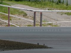 -平湖九龙山旅游度假区