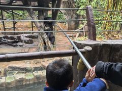 -长鹿旅游休博园