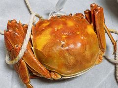 -碧中海汤泉汗蒸酒店