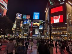 -涩谷区