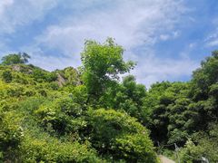 -灵山