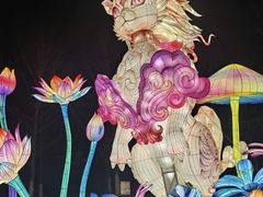 -武汉园博园(武汉自然博物馆)