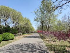 -永定河休闲森林公园