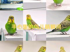 -天河体育中心