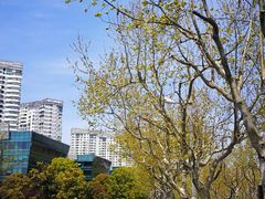 -百汇园全江景写字楼