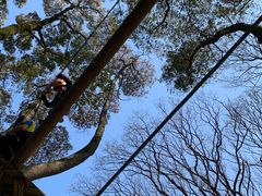 -WeLope紫金山探险公园