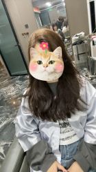 -MY HAIR ARDOR