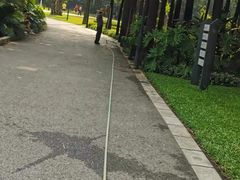 -晓港公园