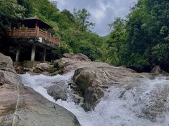 -广州白江湖森林公园