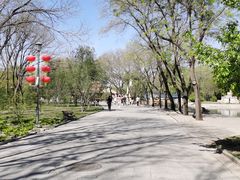 -北京世界公园