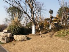-九科绿洲