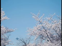 -蠡湖中央公园