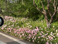 -然香姜汁(江城小区店)