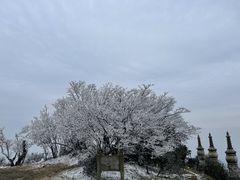 -长沙黑麋峰国家森林公园