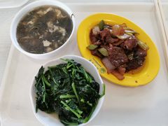 -同济大学本部学苑饮食广场