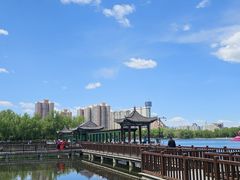 -莲花池公园