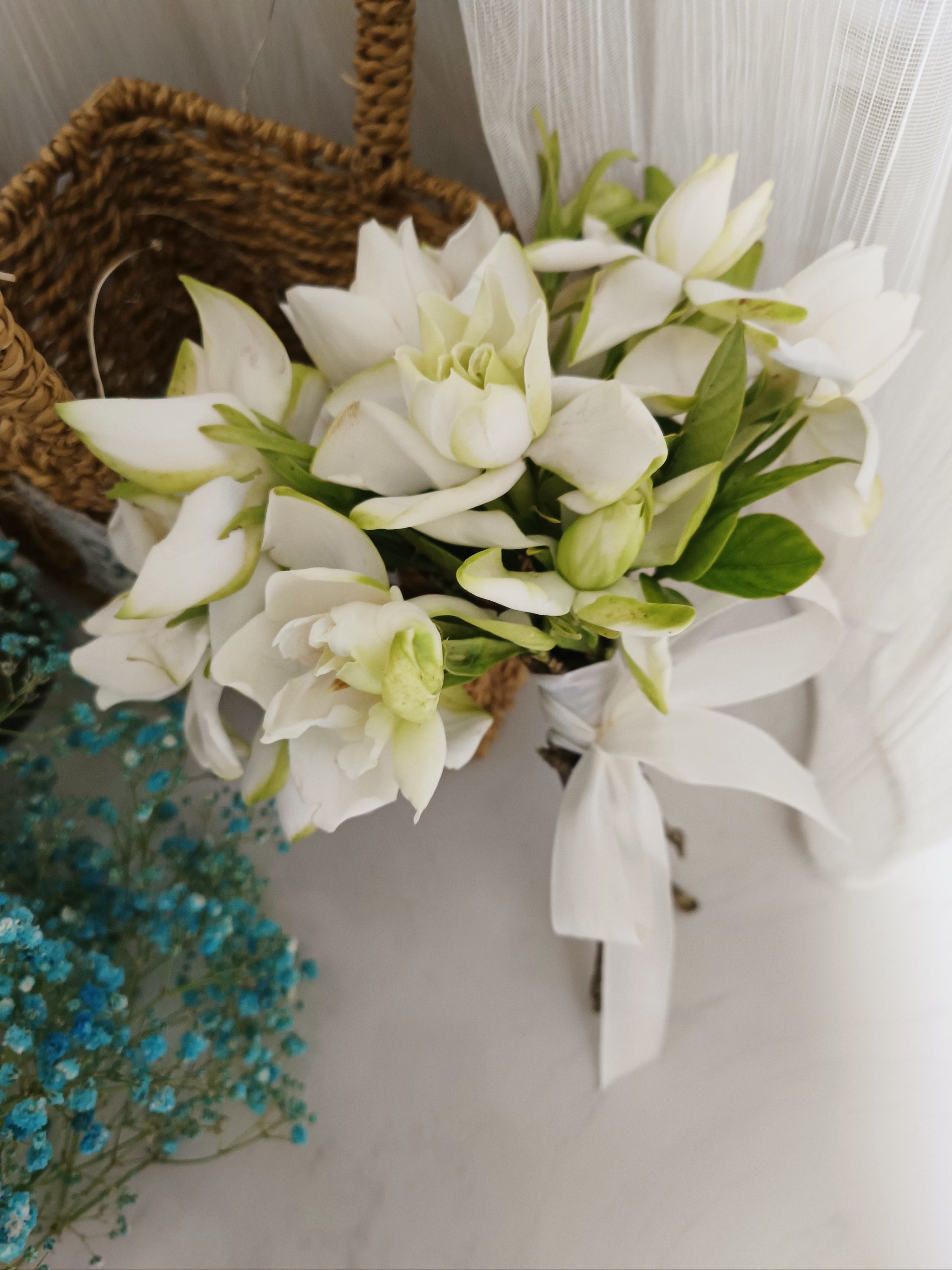 95毕业季95栀子花手捧花青春永不散场